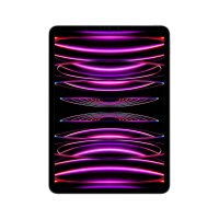 Apple iPad Pro 11" (4. Generation) Space Grau