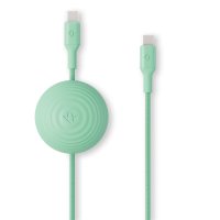 Twelve South CableStay USB-C Kabel Mint