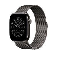Apple Milanaise Armband Schiefer