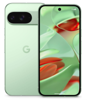 Google Pixel 9 Wintergreen