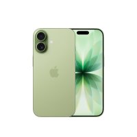Apple iPhone 17 Salbei