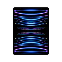 Apple iPad Pro 12.9" (6. Generation) Silber
