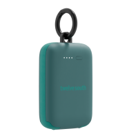 Twelve South PowerClip Powerbank Teal