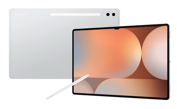 Samsung Galaxy Tab S10 Ultra, 14,6", 256GB, Wi-Fi, Silber