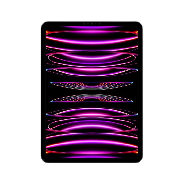 Apple iPad Pro 11“ (4. Generation)