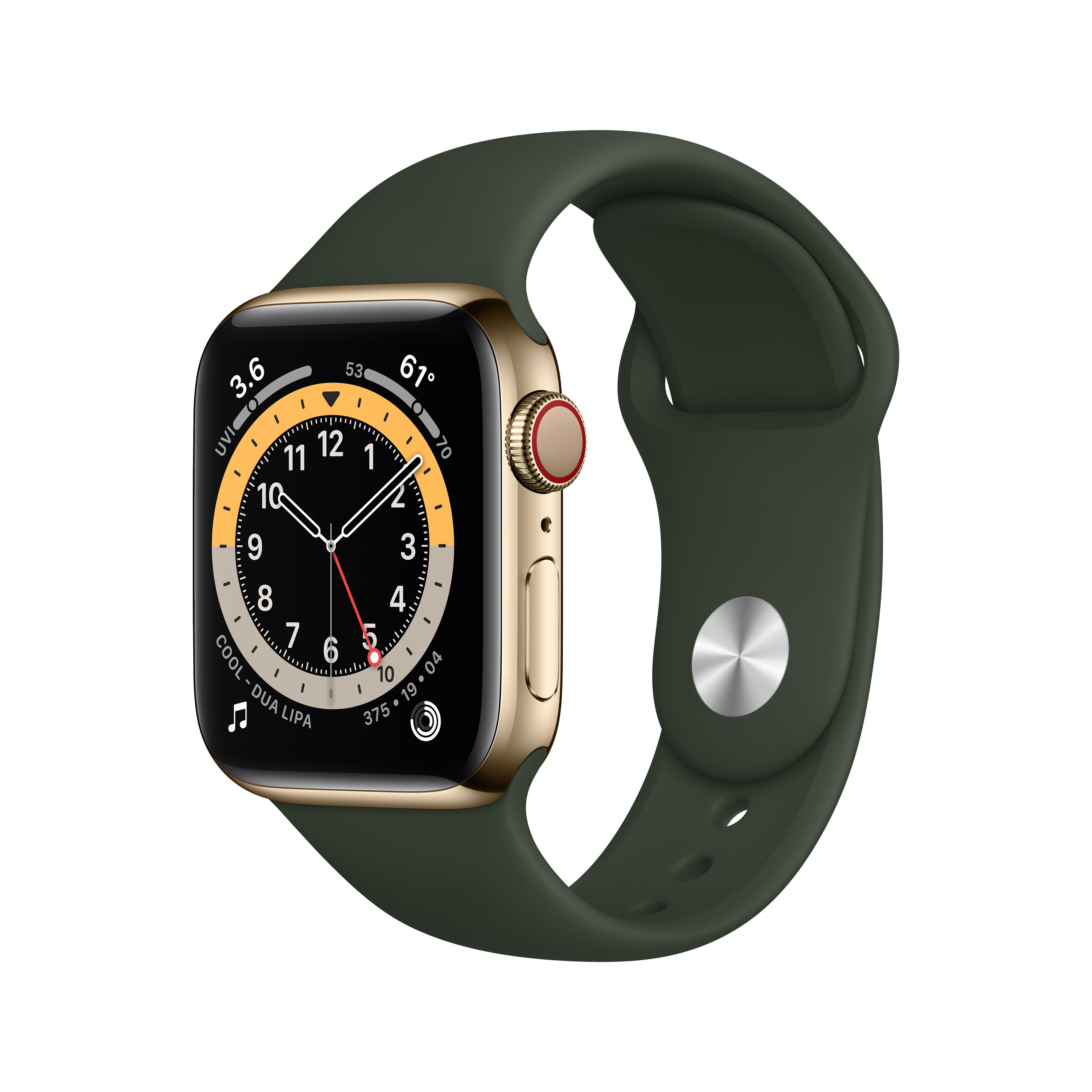 Apple Watch Series 6 Edelstahl Gold | Watch Series 6 ...