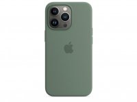Apple Silikon Case für iPhone 13 Pro Eukalyptus