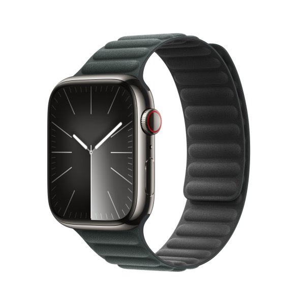 Apple Armband mit Magnetverschluss für Apple Watch 45 mm, Immergrün, M/L (140-180 mm Umfang)