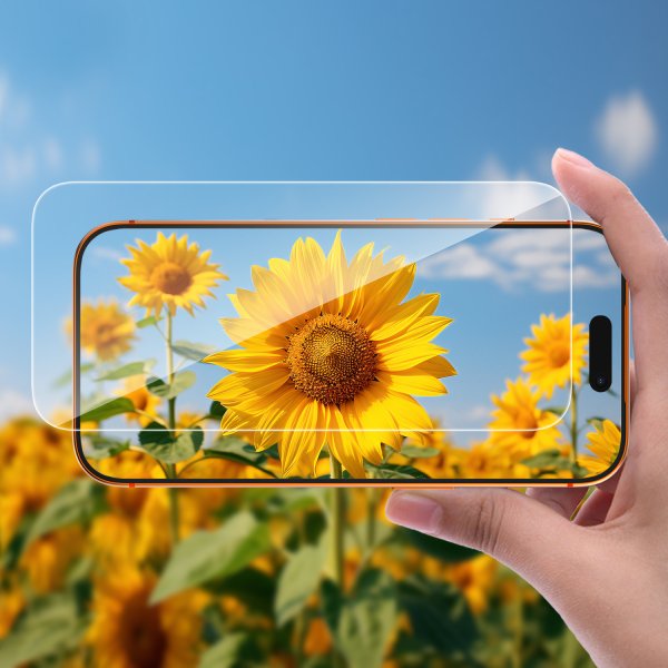 Guan Displayschutzfolie iPhone 17 Pro Clear 2.5D Flat
